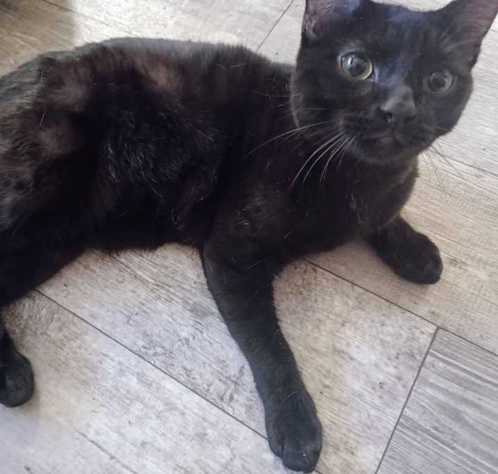 Photo of Jiji