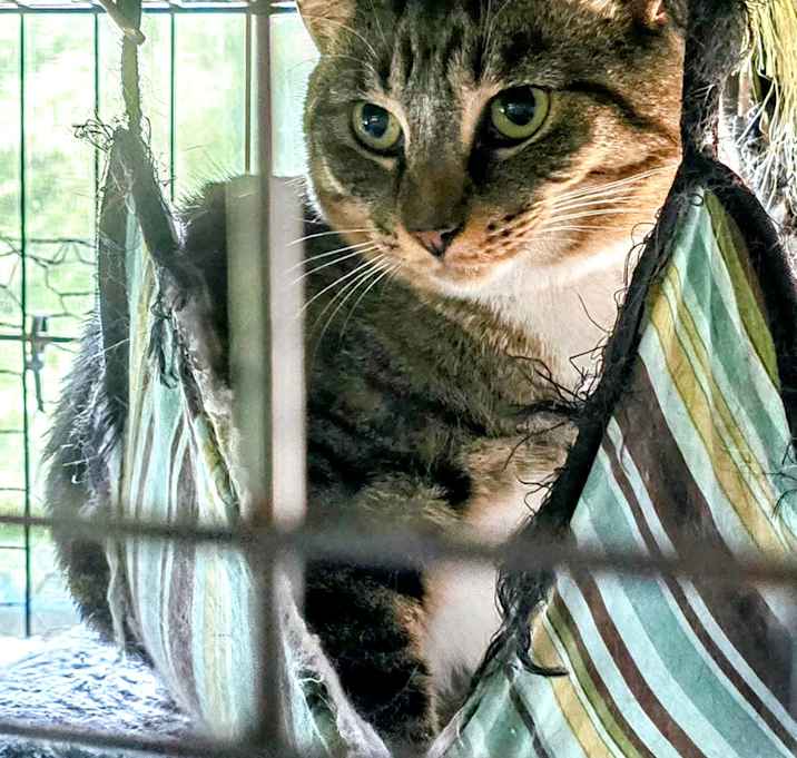 Photo of Chloe