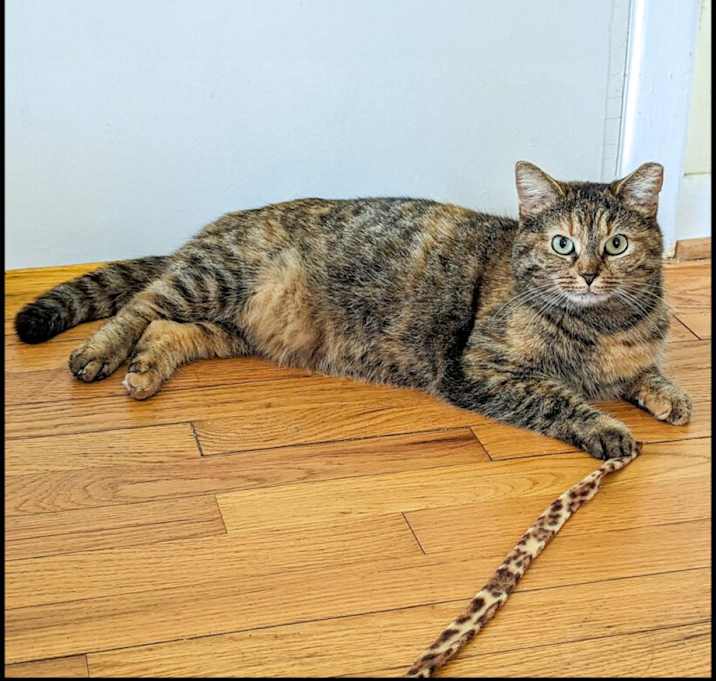 Photo of Mimi