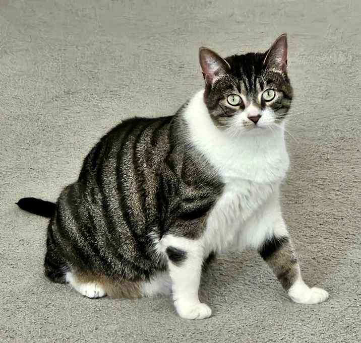 Photo of Fiona