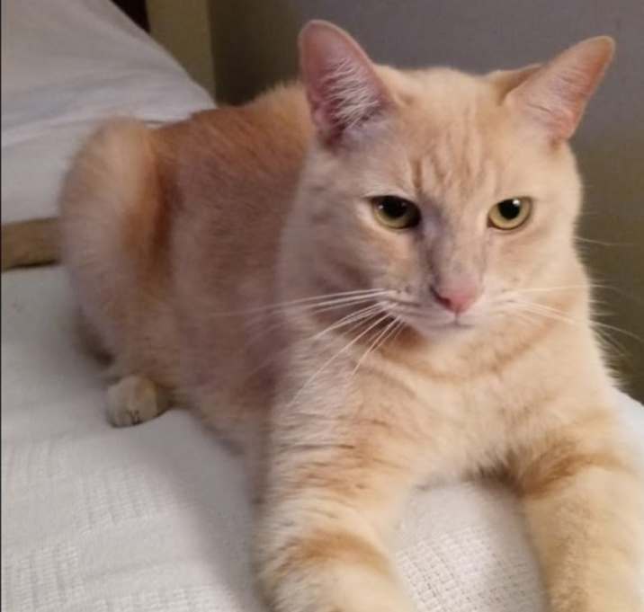 Photo of Sir Polo