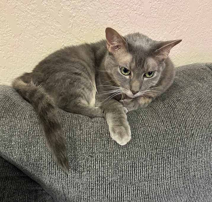 Photo of Skye