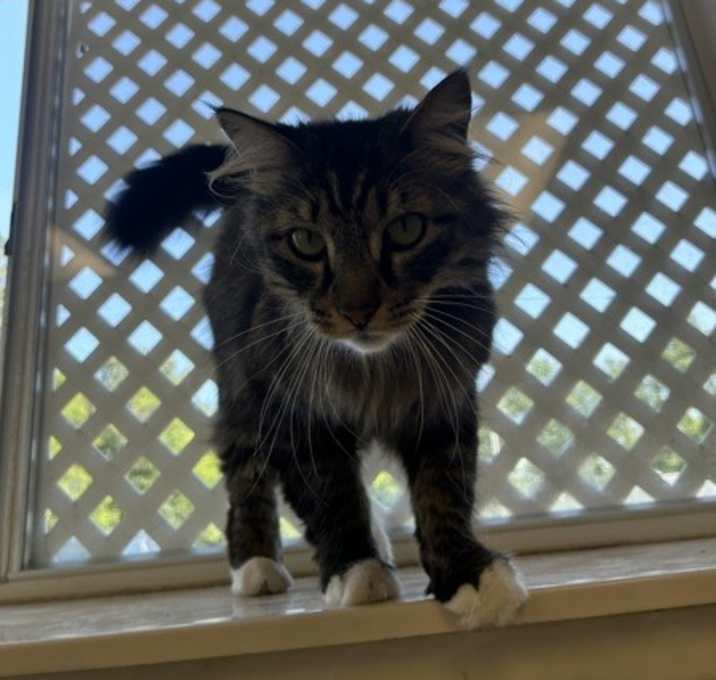 Photo of Lolek