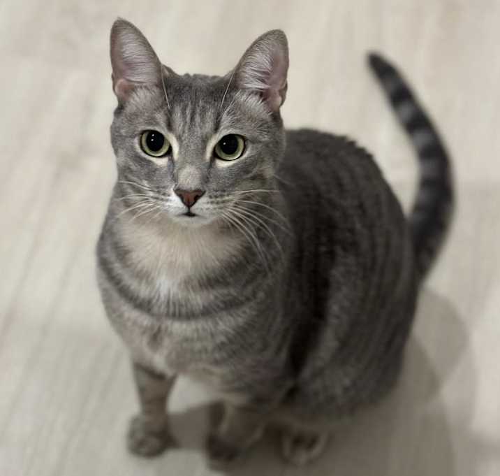 Photo of Nisha