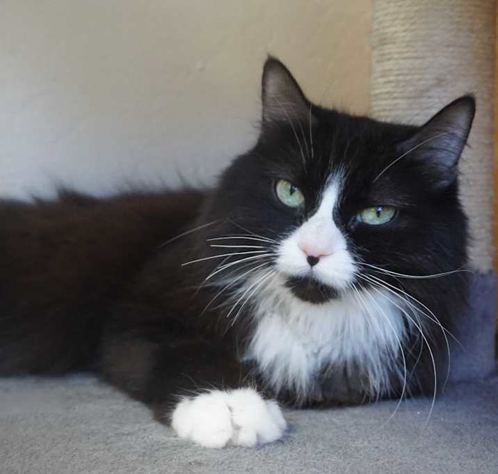 Photo of Angelica
