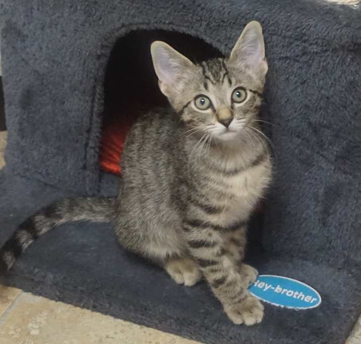 Photo of Schwarzy