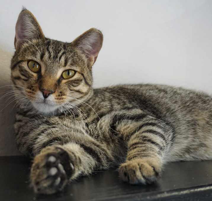 Photo of Senior Diego