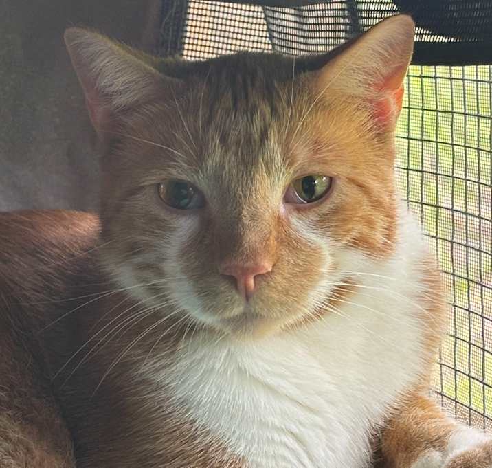 Photo of Danny
