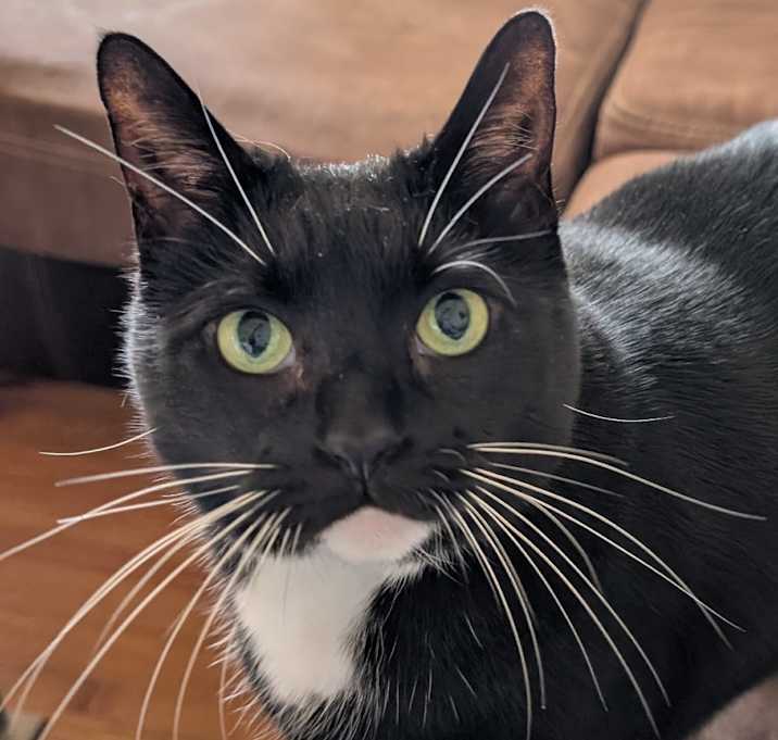Photo of Gigi