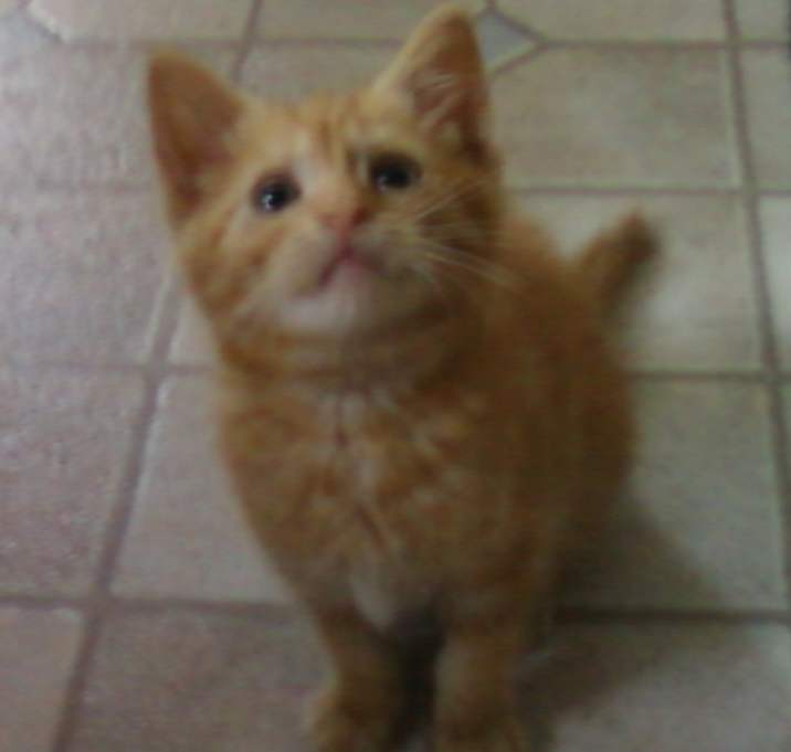 Photo of BoPeep