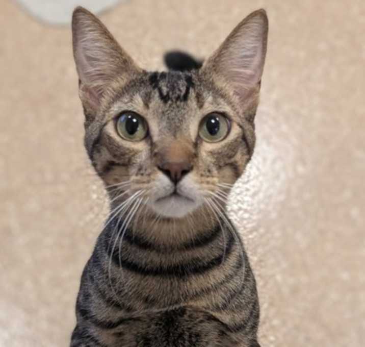 Photo of Wally