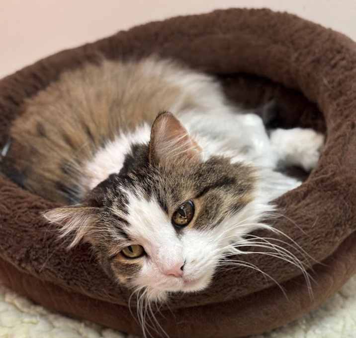 Photo of Skye