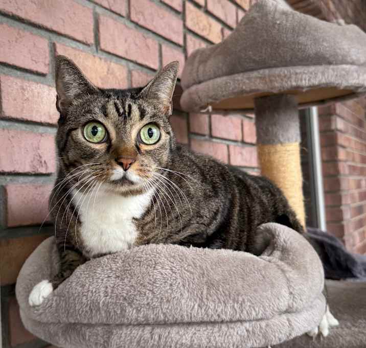 Photo of Rascal