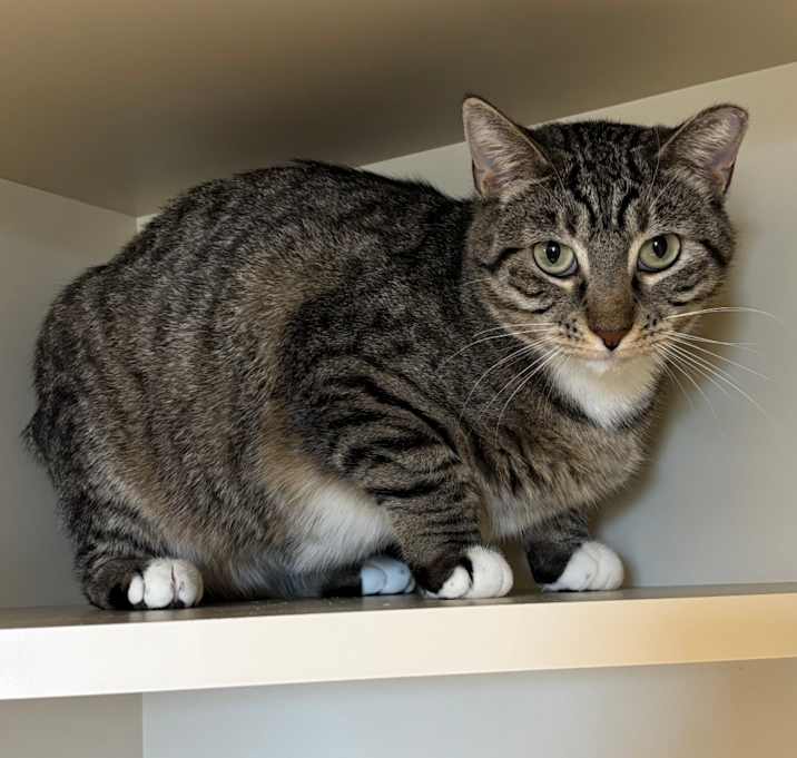 Photo of Abby