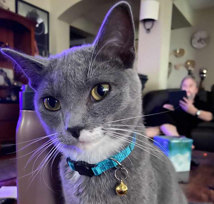 Photo of Mashi