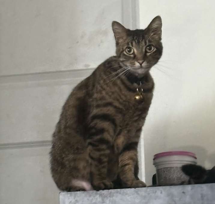 Photo of Nora