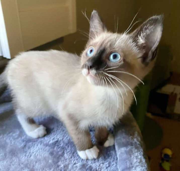 Photo of Stormy