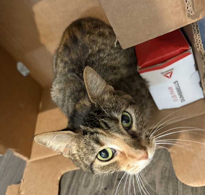 Photo of Penelope (Penny)