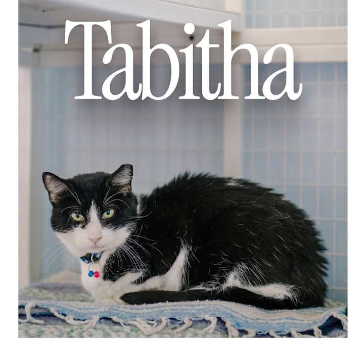 Photo of Tabitha