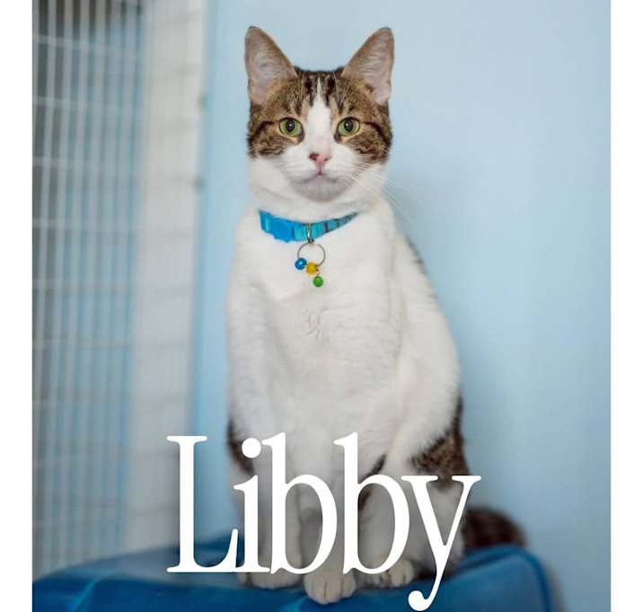 Photo of Libby
