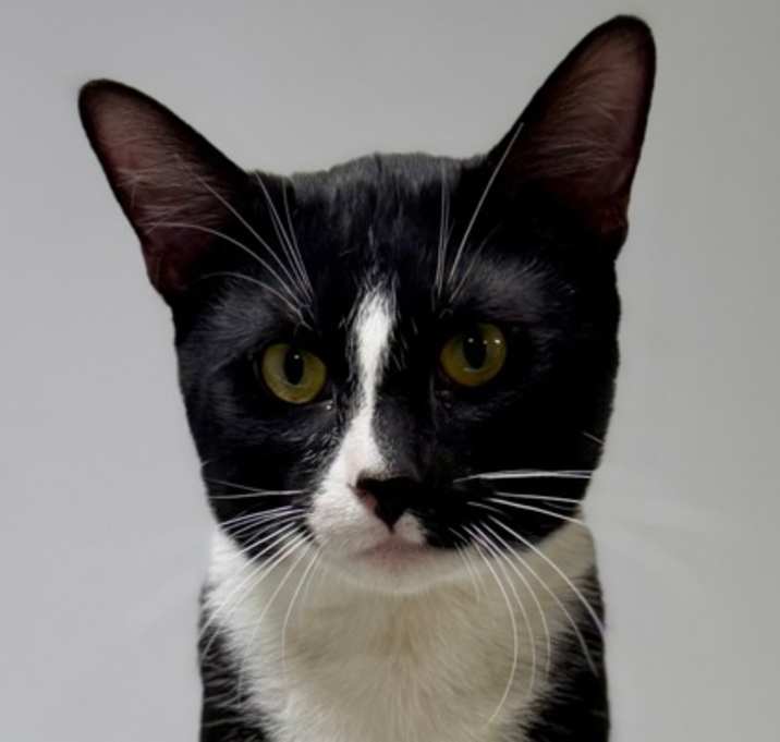 Photo of Sutton