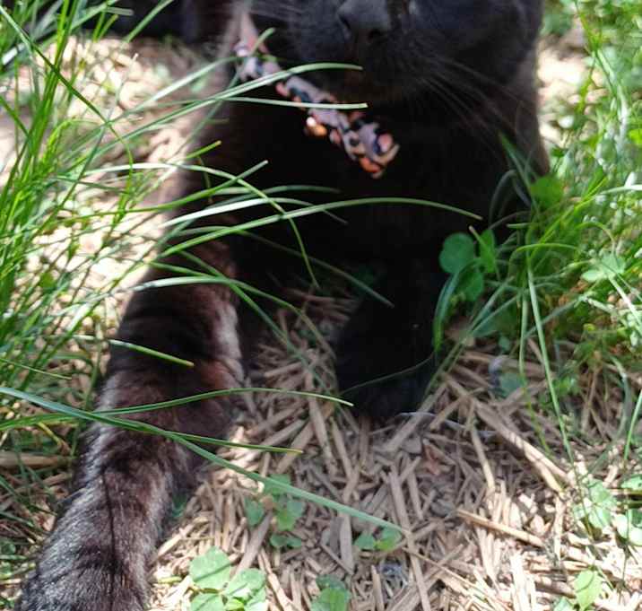 Photo of Mr. Baby