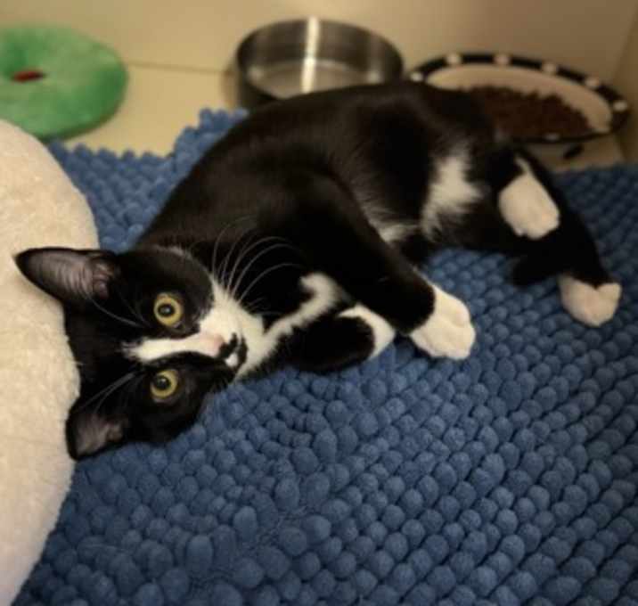 Photo of Alice