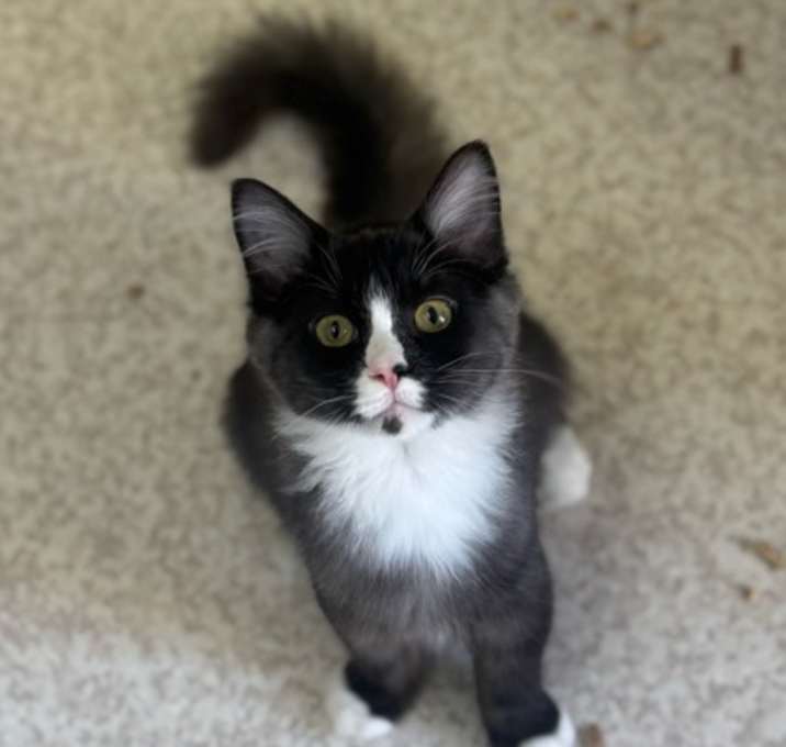 Photo of Bingo