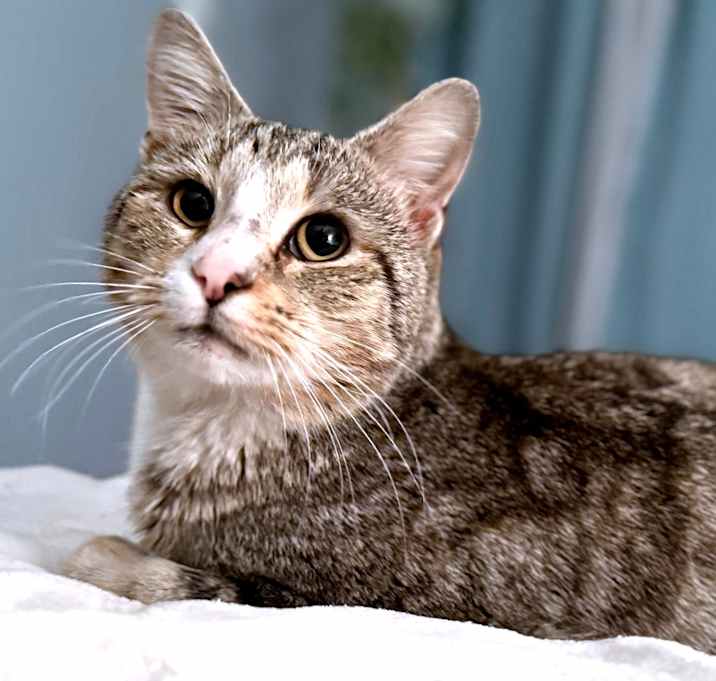 Photo of Mr. Charlie Swirl