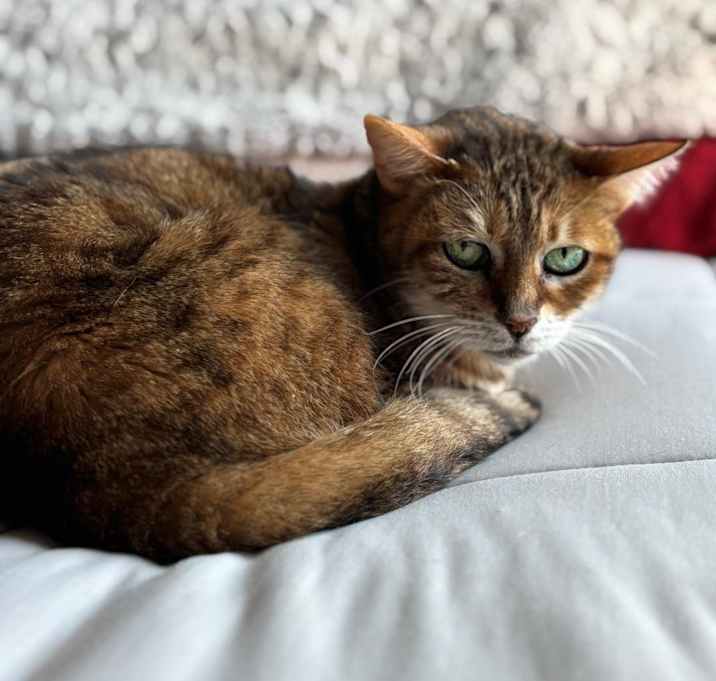 Photo of Nimie