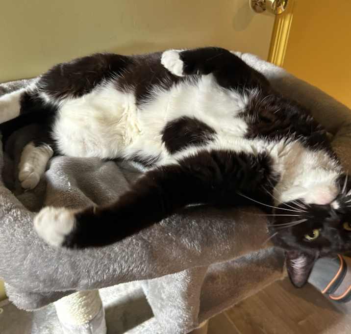 Photo of Jet