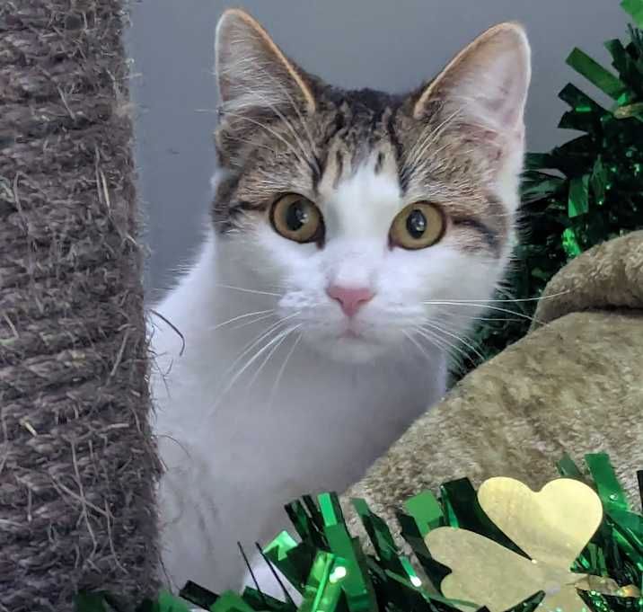 Photo of Fiona