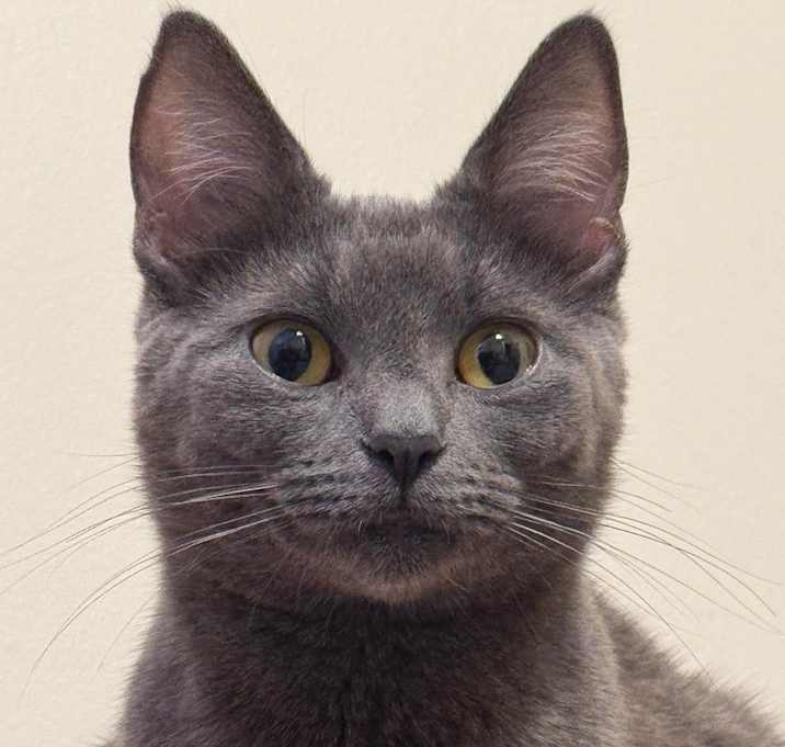 Photo of Coco