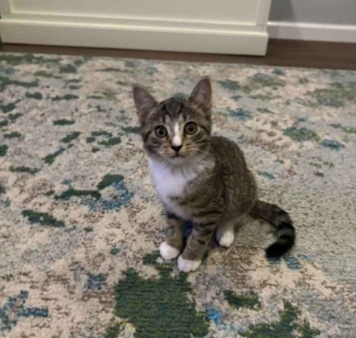 Photo of Noodles