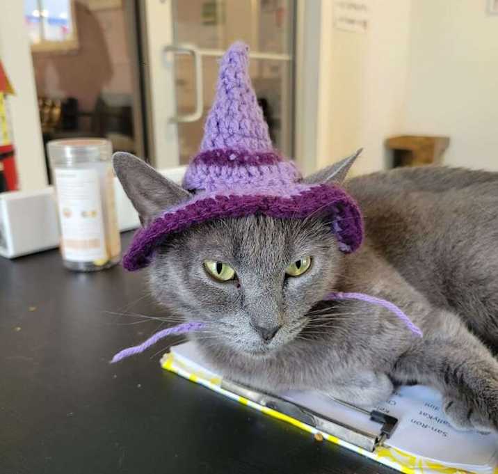 Photo of Monica