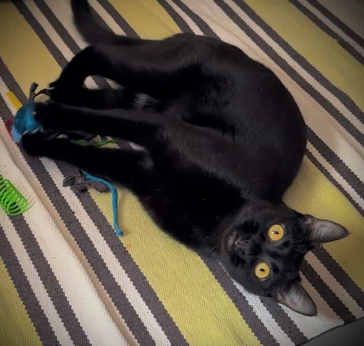 Photo of Penelope