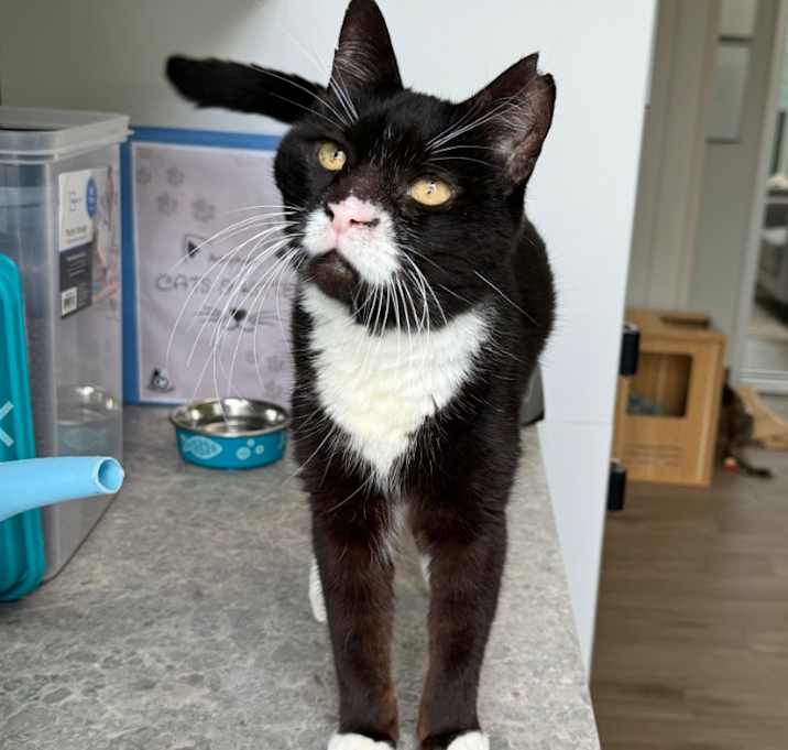 Photo of Essie