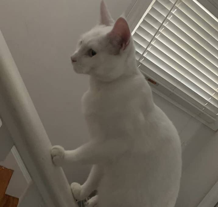 Photo of Big snow