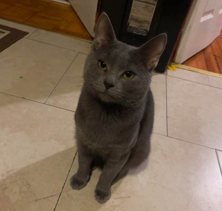 Photo of Biggie