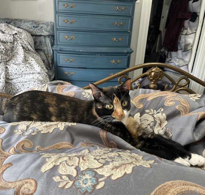 Photo of Ember