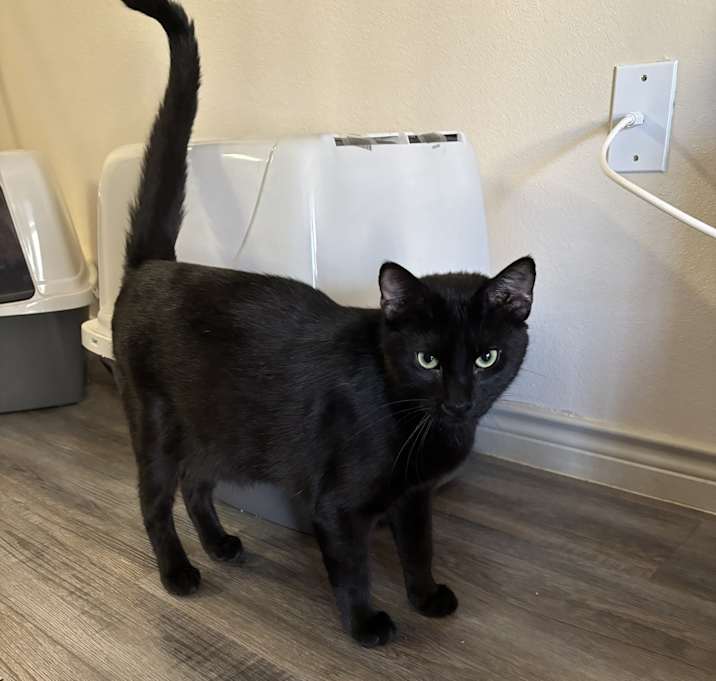 Photo of Junior