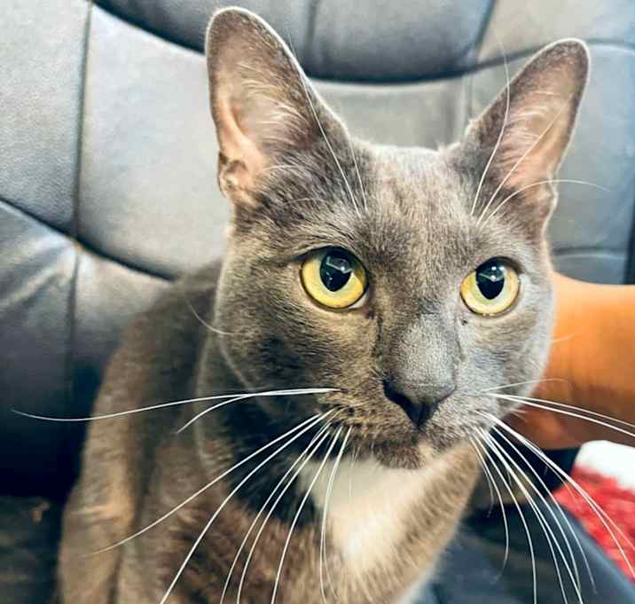 Photo of Edward