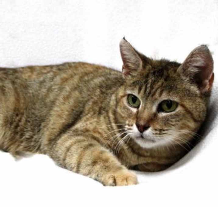 Photo of Marmie