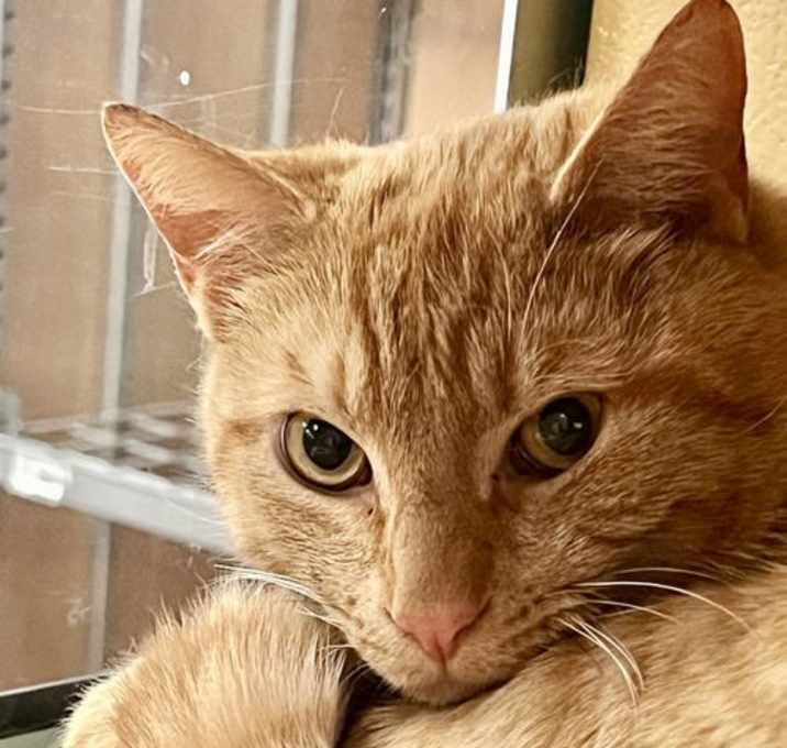 Photo of Trenton