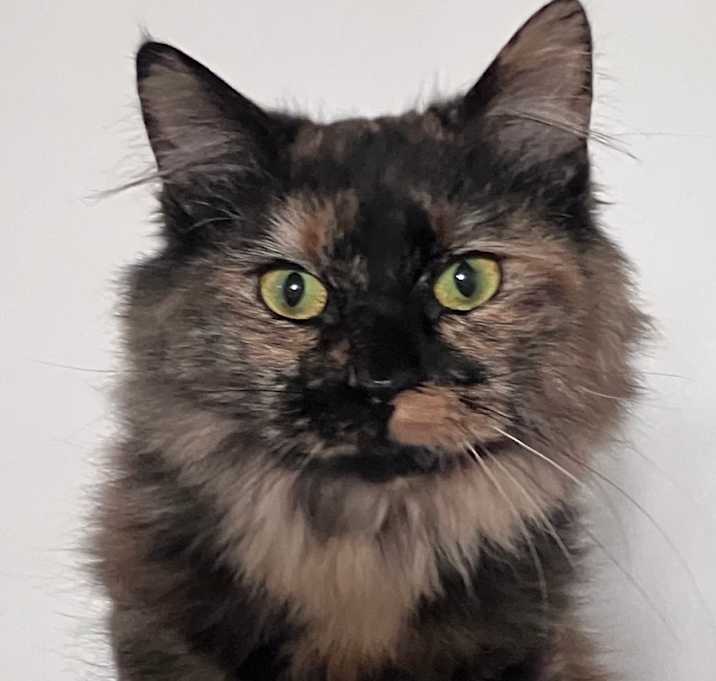 Photo of Kaleena