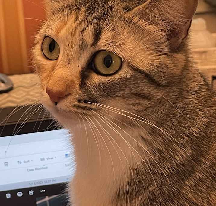 Photo of Ally