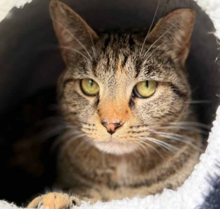 Photo of Kiki