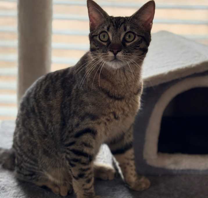 Photo of Hercules