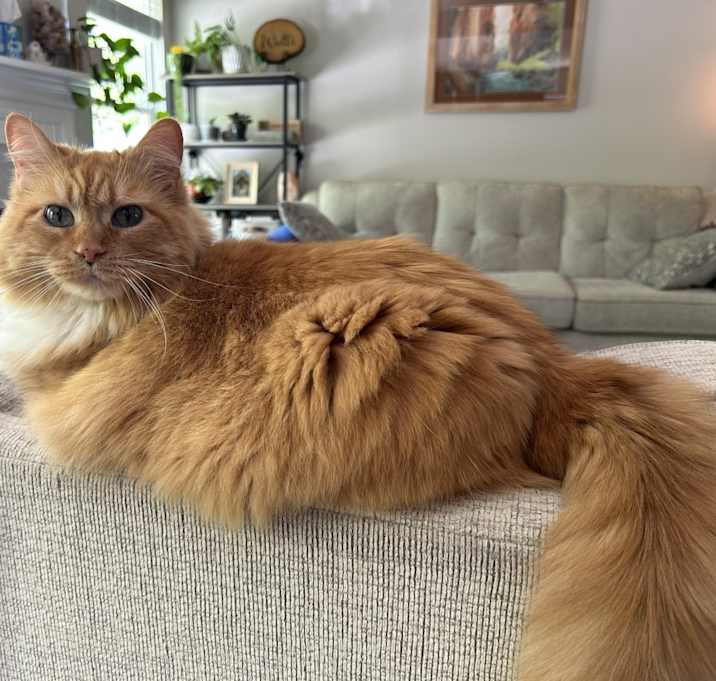 Photo of Abby