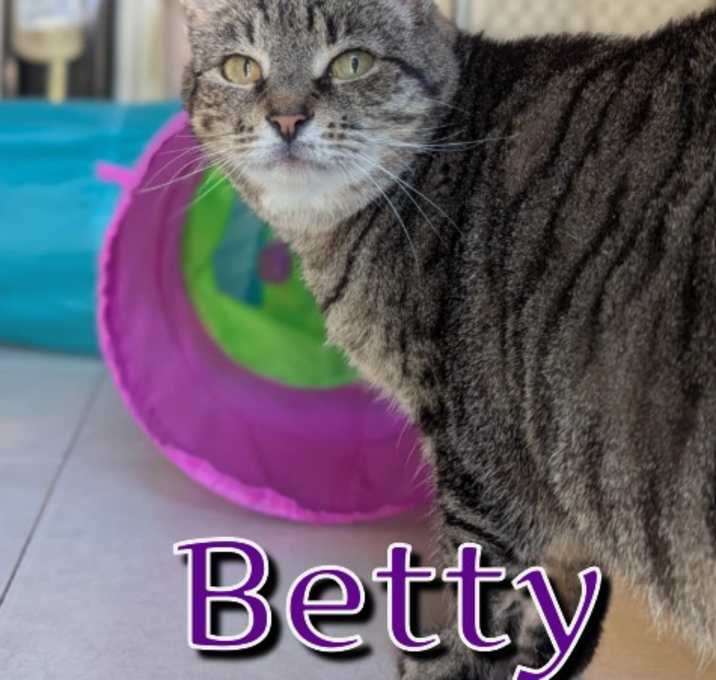 Photo of BETTY